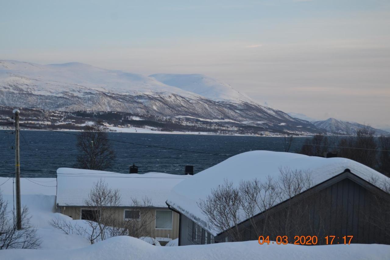 A Nice And Quiet Place Near To Trosmo City Lejlighed Tromsø Eksteriør billede